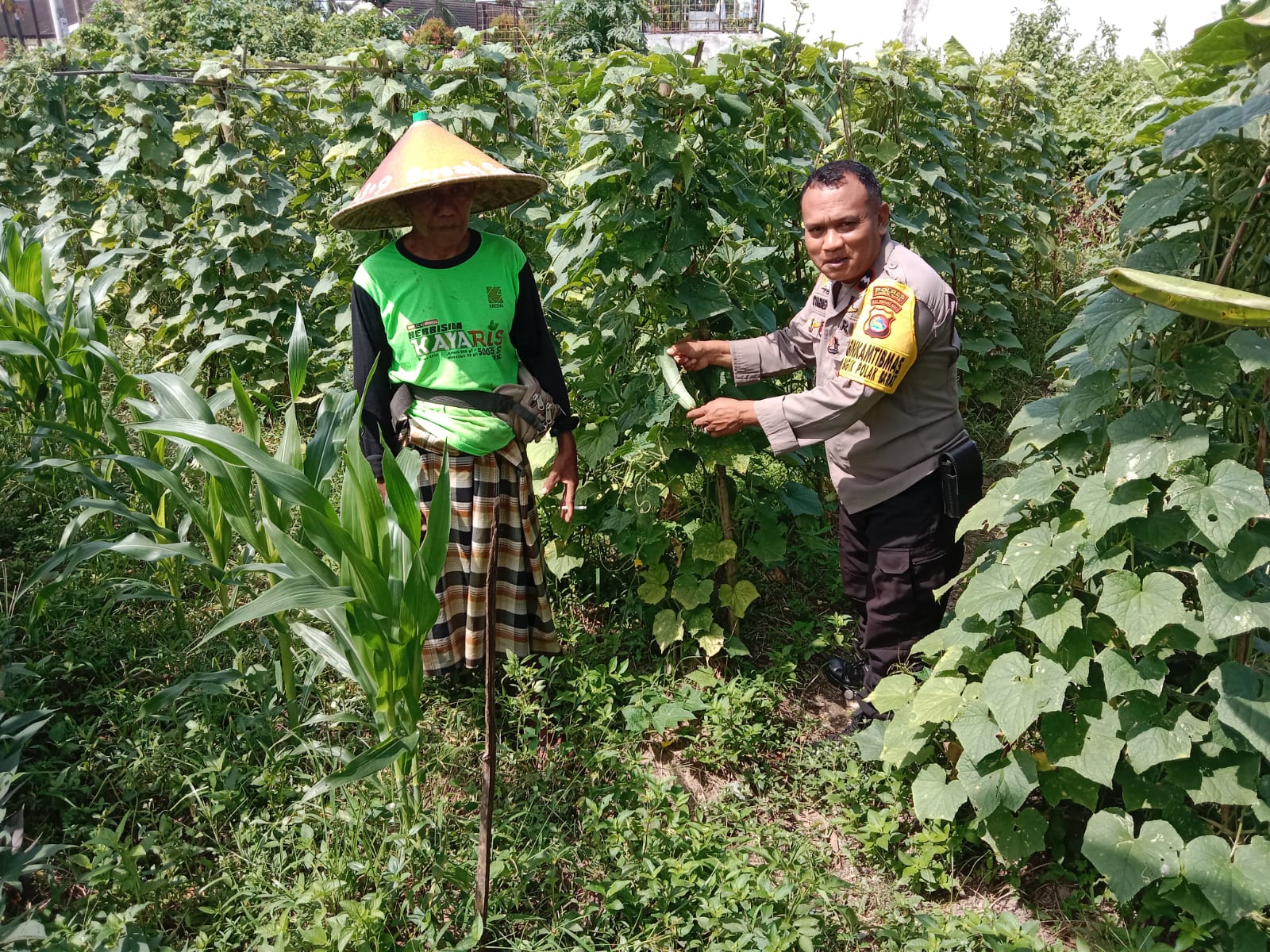 Polsek Labuapi Dukung Ketahanan Pangan, Bhabinkamtibmas Ajak Warga Manfaatkan Lahan Kosong