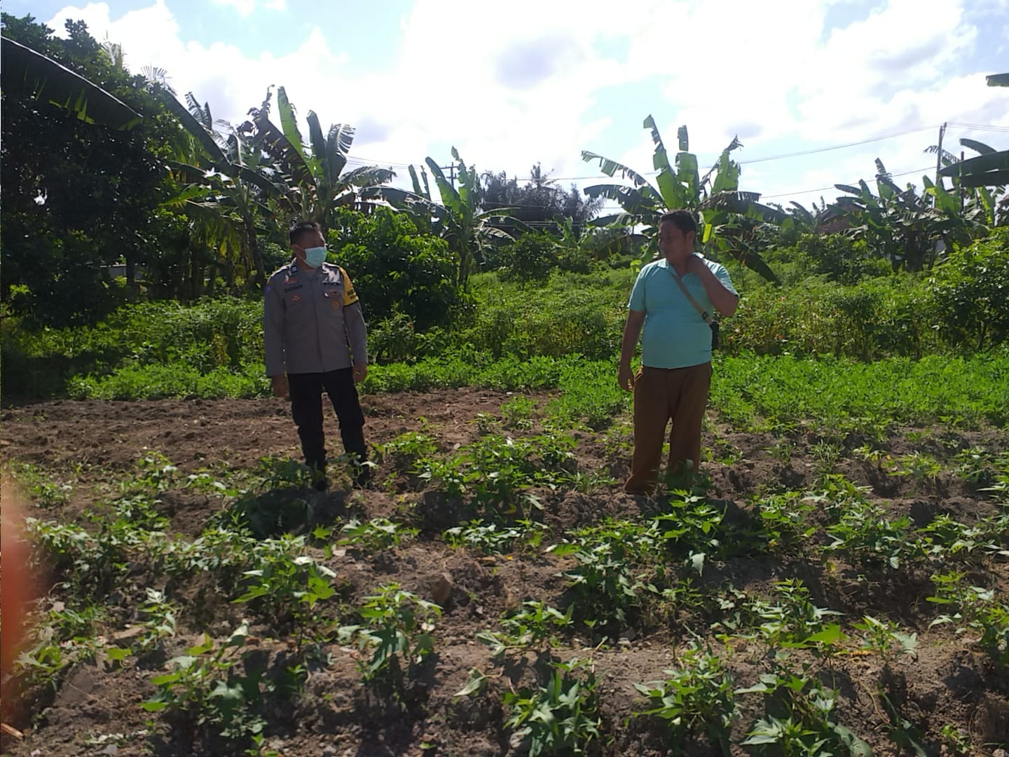 Polri Dukung Ketahanan Pangan Nasional Bhabinkamtibmas Jagaraga Ajak Petani Manfaatkan Lahan Produktif