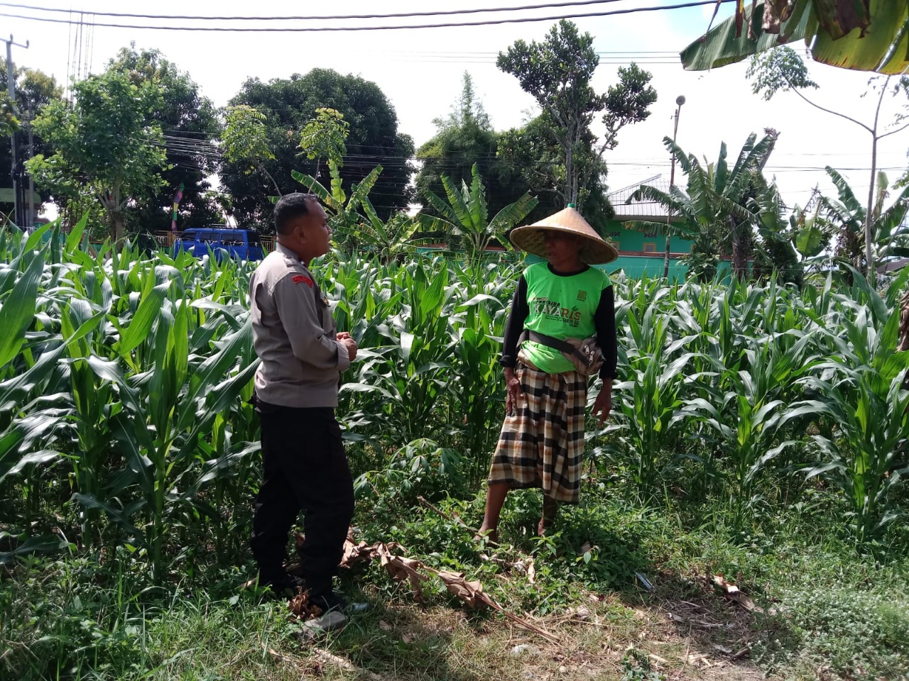 Dukung Ketahanan Pangan, Polisi Ajak Petani Manfaatkan Lahan Kosong