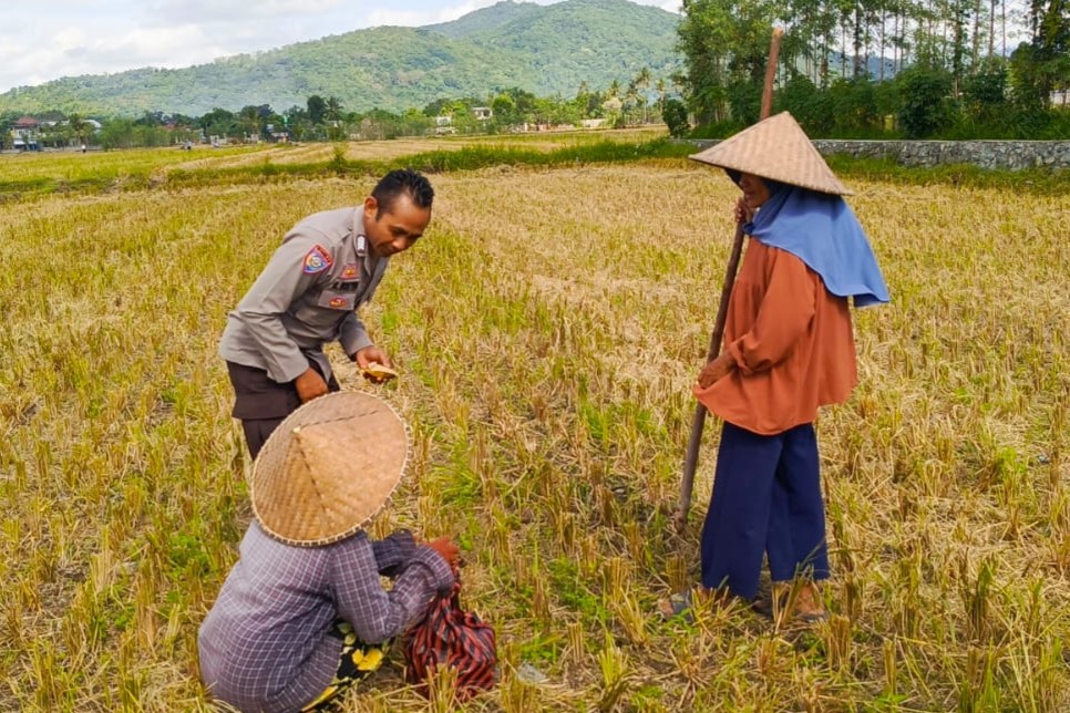 Sinergi Polsek Kuripan dan Petani Iting Langgem, Dukung Swasembada Pangan Lokal