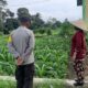 Bhabinkamtibmas Montong Are Dukung Ketahanan Pangan Lewat Pendampingan Petani