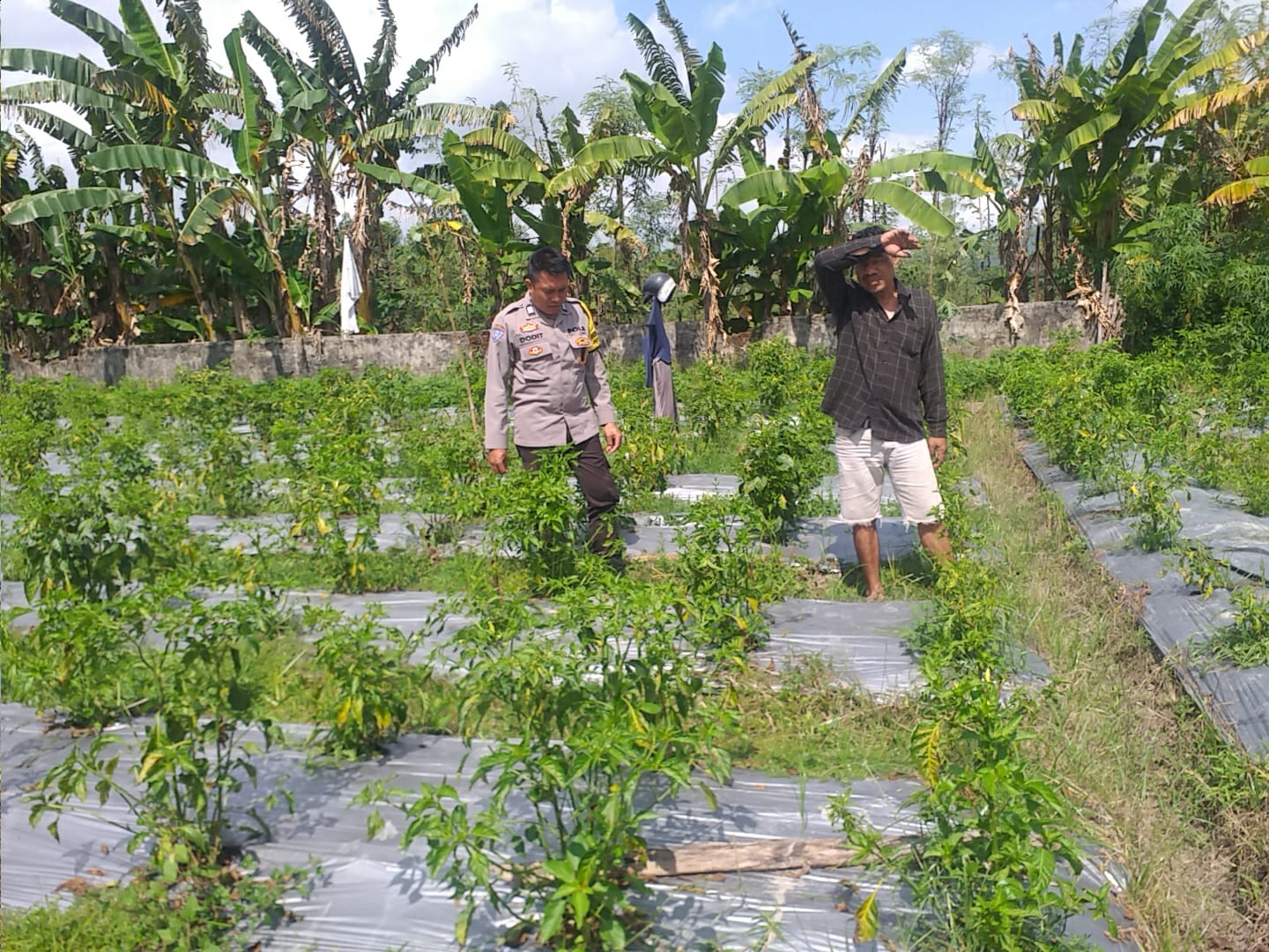 Polri Hadir Dukung Warga Jagaraga Wujudkan Desa Mandiri Pangan