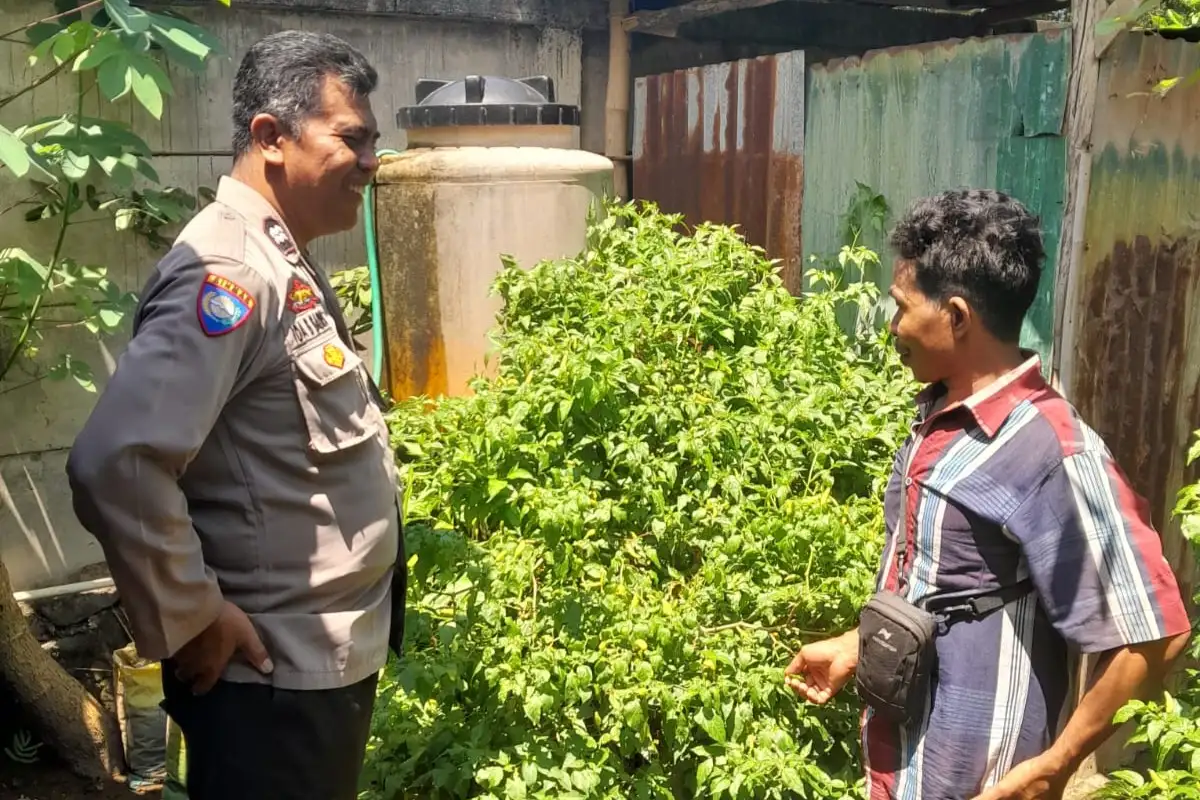 Optimalkan Lahan Kosong, Warga Senggigi Diedukasi Diversifikasi Pangan