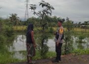 Ketahanan Pangan di Lombok Barat, Polri dan Petani Bersinergi