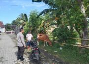 Polri Dukung Program P2B untuk Kesejahteraan Masyarakat Desa