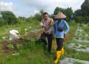 Kunjungan Humanis Bhabinkamtibmas: Edukasi Ketahanan Pangan di Tingkat Desa
