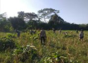 Peran Aktif Polri dalam Program Pangan di Lombok Barat