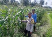 Sinergi Polri dan Petani Perkuat Ketahanan Pangan di NTB