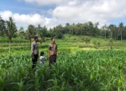 Sambang Lahan oleh Polri, Petani Mareje Terima Dukungan Langsung