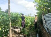 Kepedulian Bhabinkamtibmas pada Pertanian Lombok Barat