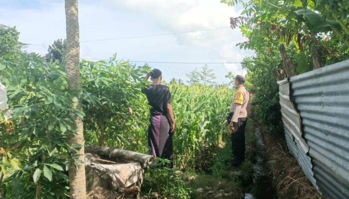 Kepedulian Bhabinkamtibmas pada Pertanian Lombok Barat
