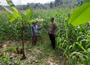 Polri Aktif Dukung Petani Sekotong Timur Wujudkan Swasembada Pangan