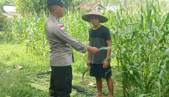 Bhabinkamtibmas Taman Baru Giat Dorong Pemanfaatan Lahan Kosong