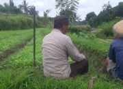 Peran Aktif Bhabinkamtibmas dalam Program Ketahanan Pangan Desa