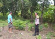 Program Ketahanan Pangan Polsek Sekotong Dapat Sambutan Positif Warga