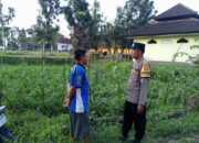 Sinergi Polisi dan Petani di Kuripan Wujudkan Swasembada Pangan
