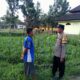 Ketahanan Pangan Desa Kuripan Didukung Langsung Aparat Kepolisian