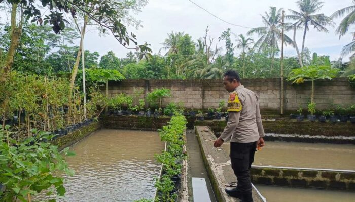 Bripka Ahmad Rosyidi Gagas Ketahanan Pangan Lokal di Lombok Barat