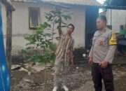 Pemanfaatan Pekarangan Rumah di Kuripan Jadi Model Ketahanan Pangan