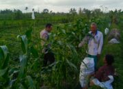 Langkah Strategis Petani Grepek Didorong Bhabinkamtibmas