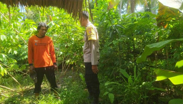 Pemanfaatan Lahan Kosong, Polri Perkuat Ketahanan Pangan NTB