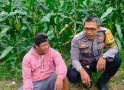 Kunjungan Bhabinkamtibmas di Dusun Penyeleng Dorong Produktivitas Petani