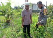 Sosialisasi Ketahanan Pangan oleh Polri di Kecamatan Kuripan