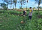 Sinergi Polri-Warga Pelangan Wujudkan Swasembada Pangan