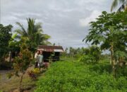 Kunjungan Bhabinkamtibmas: Perkuat Program Pangan di Tambang Eleh