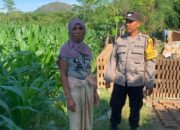 Ketahanan Pangan Nasional Diperkuat Lewat Kunjungan Polisi di Gerung