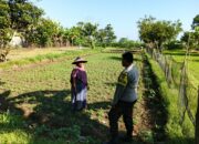 Sinergi Warga dan Polisi di Lembar Dukung Program Pangan Nasional