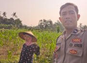 Petani Penimbung Dapat Dukungan Polsek Lembar untuk Tingkatkan Produksi