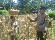 Dukung Swasembada Pangan, Bhabinkamtibmas Desa Taman Baru Sapa Petani