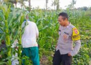 Sinergi Polisi dan Petani Dorong Ketahanan Pangan NTB