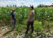 Sinergi Polri dan Warga Wujudkan Ketahanan Pangan di Lombok Barat