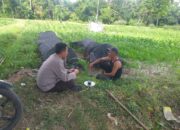 Polres Lombok Barat Perkuat Ketahanan Pangan Lewat Pendampingan Petani di Lembar