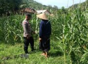 Polri dan Petani Sekotong Bersinergi untuk Kemandirian Pangan Lokal