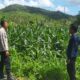 Polri Dampingi Petani di Desa Batu Putih