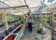 Ketahanan Pangan di Lombok Barat: Polsek Labuapi Fasilitasi Pemanfaatan Lahan Kosong