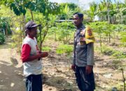 Kreativitas Pangan Rumah Tangga: Polsek Kediri Edukasi Warga Rumak Tanam Pepaya