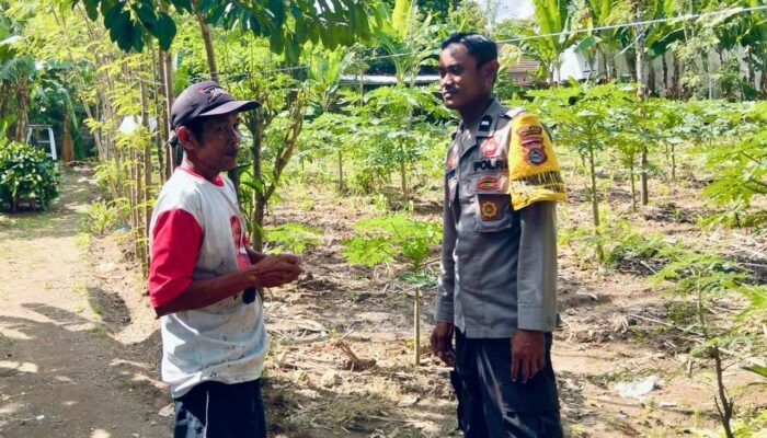 Kreativitas Pangan Rumah Tangga: Polsek Kediri Edukasi Warga Rumak Tanam Pepaya