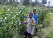 Polri Aktif di Sawah: Ketahanan Pangan Jadi Fokus Bhabinkamtibmas Kediri