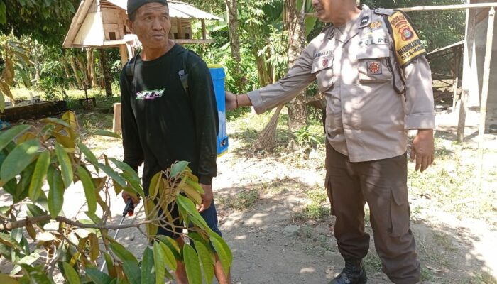Ketahanan Pangan Desa Merembu Didorong Lewat Jalan Usaha Tani Baru