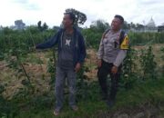 Sosialisasi Humanis Bhabinkamtibmas di Beremi, Lahan Pekarangan Kini Jadi Harapan