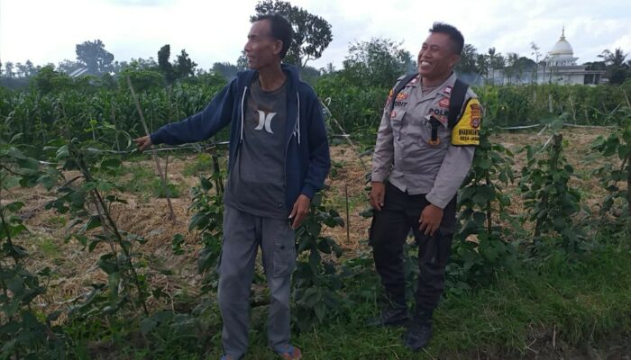 Sosialisasi Humanis Bhabinkamtibmas di Beremi, Lahan Pekarangan Kini Jadi Harapan
