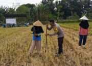 Polsek Kuripan Ajak Petani Manfaatkan Pupuk Bersubsidi Secara Tepat