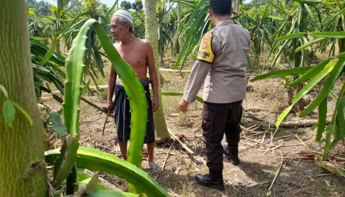 Ketahanan Pangan Diperkuat, Polres Lombok Barat Turun ke Ladang