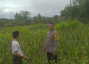 Kolaborasi Kamtibmas dan Ketahanan Pangan di Sekotong Tengah Terus Ditingkatkan