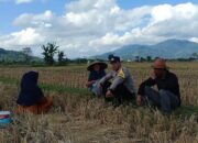 Peran Polisi di Ladang Jagung: Kolaborasi Ketahanan Pangan di Lintak Buwur