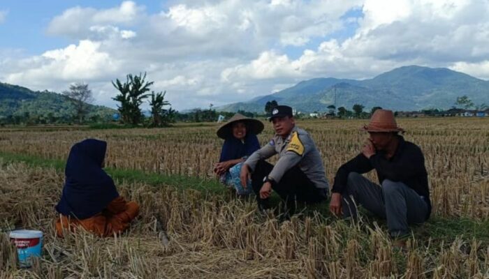 Peran Polisi di Ladang Jagung: Kolaborasi Ketahanan Pangan di Lintak Buwur